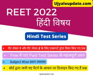 Reet Hindi Test Series