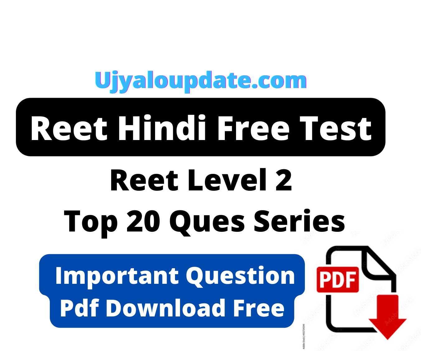 Reet Level 2 Hindi Most Important qes