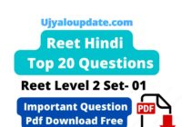 Reet Level 2 Hindi Questions