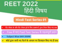 reet level 1 hindi test